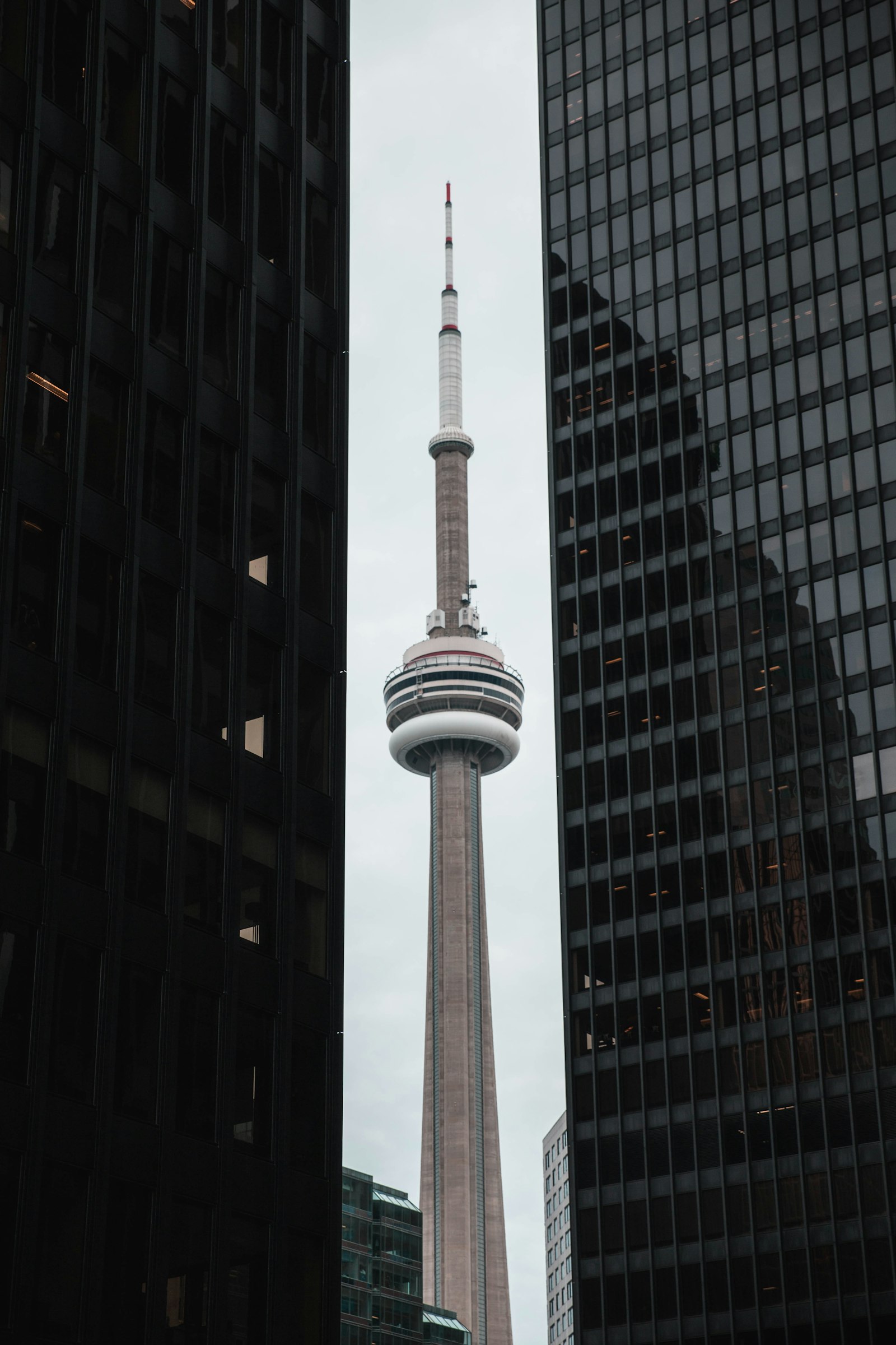 CN Tower rising above Toronto financial district skyscrapers, representing the regulatory environment for PCMLTFA AML/CTF compliance in Canada